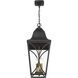 Cardigan 3 Light 11 inch Sand Coal and Olden Brass Outdoor Pendant, Great Outdoors