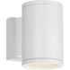 Tube LED 6.5 inch White Outdoor Wall Light