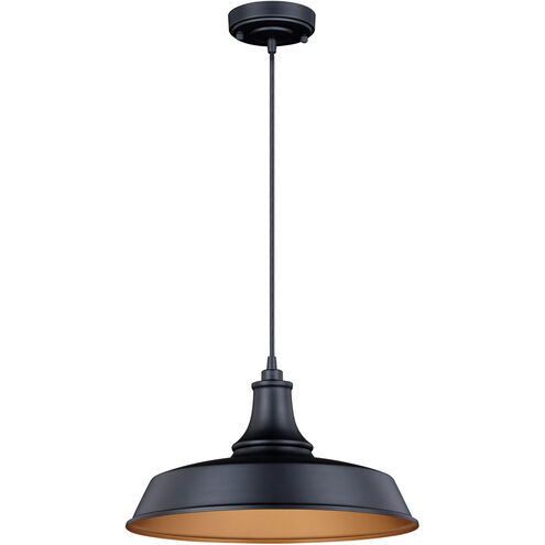 Dorado 1 Light 15 inch Dark Bronze and Light Gold Outdoor Pendant