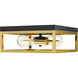 Canada 2 Light 12 inch Black & Gold Flush Mount Ceiling Light