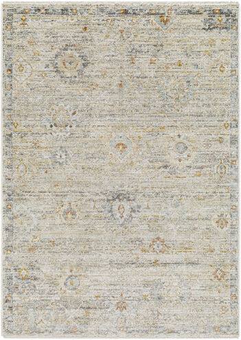 Rojin 91 X 63 inch Rug, Rectangle