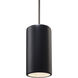 Radiance Collection 1 Light 7 inch Carbon Matte Black with Brushed Nickel Pendant Ceiling Light