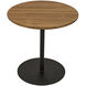 Ford 20 X 20 inch Gold Teak with Matte Black Side Table, Small