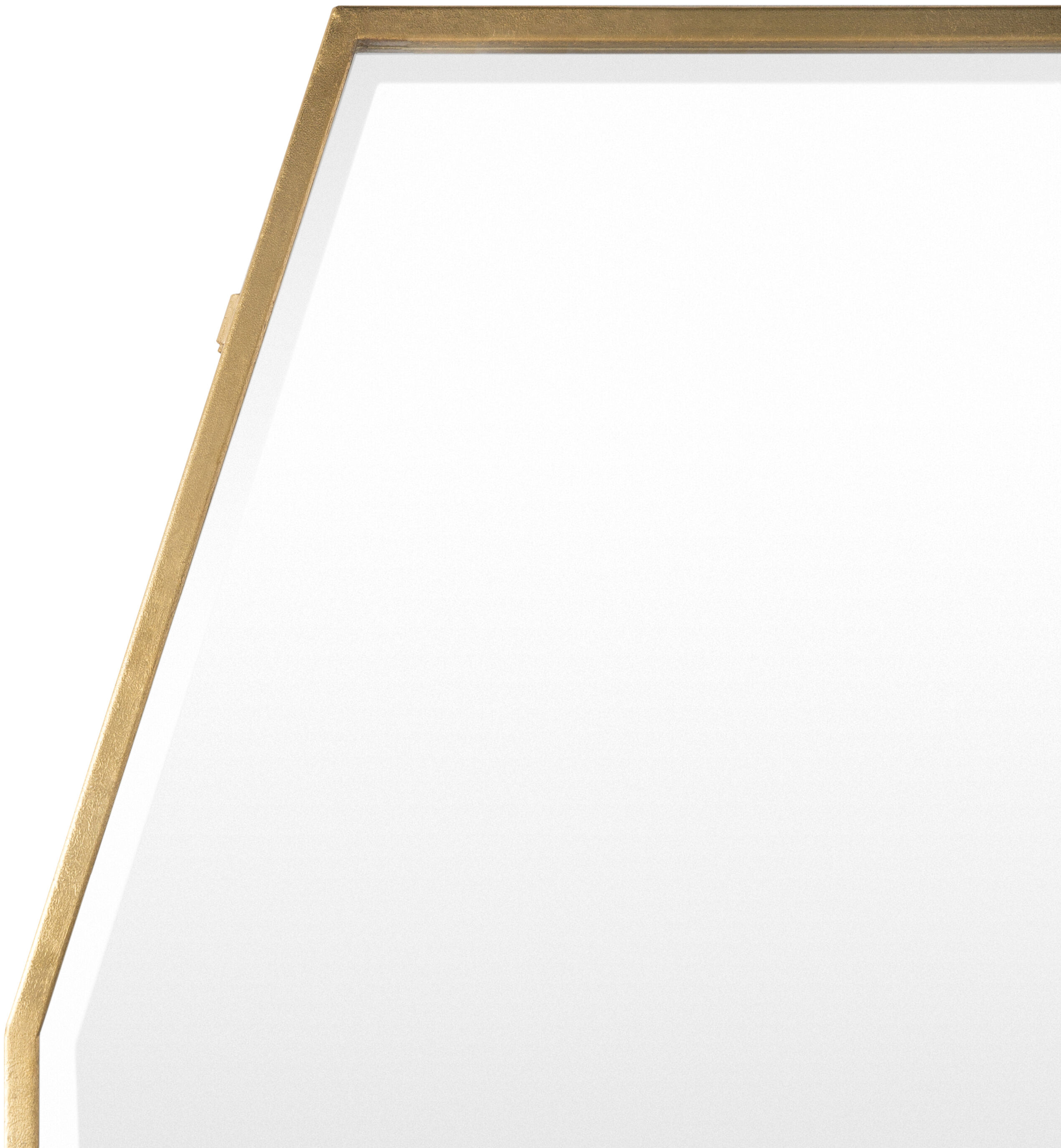 Adams 55.25 X 30 inch Antiqued Mirror, Full Length/Oversized