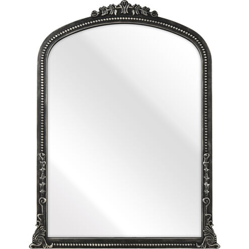 Lise 35.5 X 27 inch Aged Black with Clear Wall Mirror