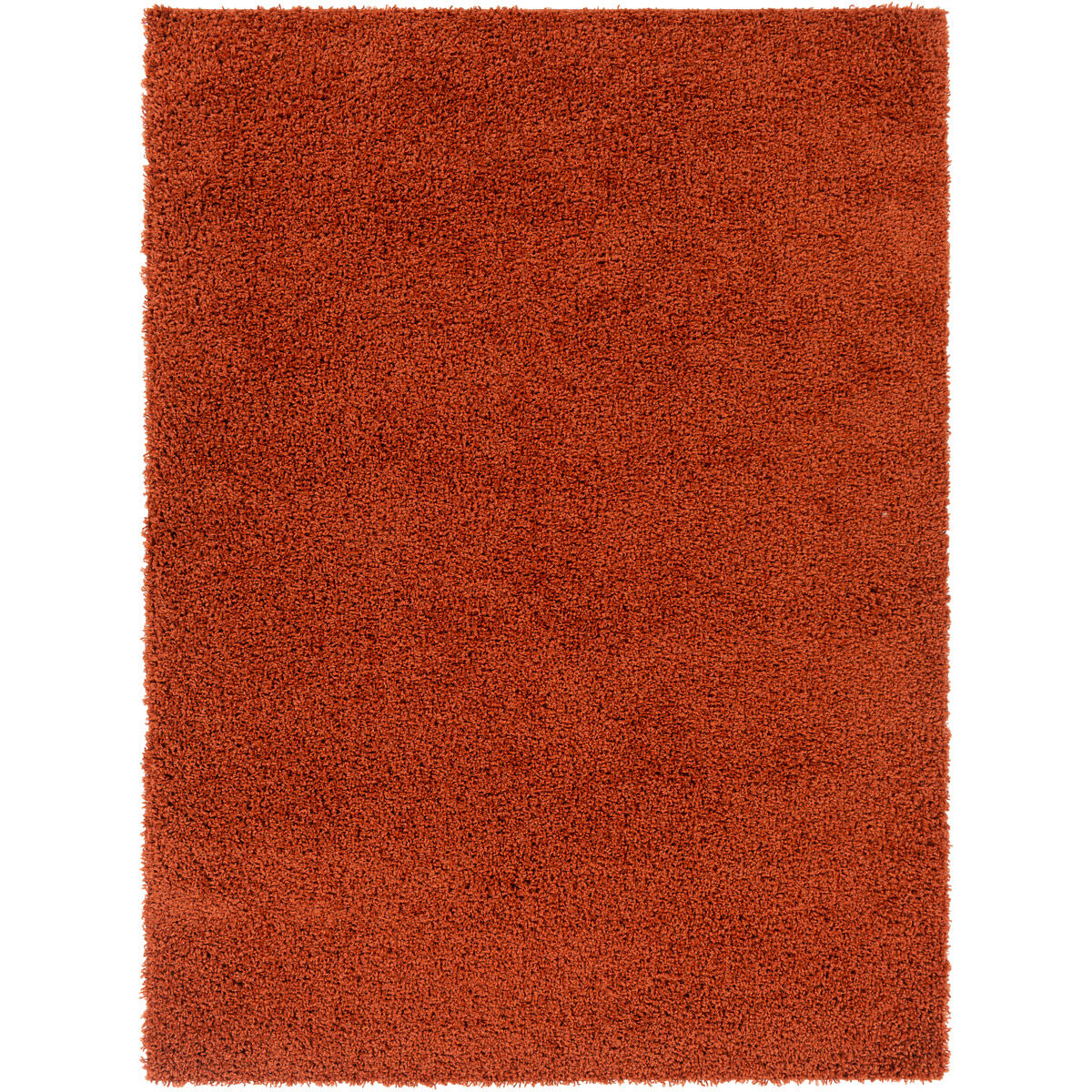 Surya BLI2302-23 Bliss Shag 36 X 24 inch Burnt Orange Rug in 2 x 3
