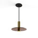 Combi LED 9 inch Brass Pendant Ceiling Light in Tea Brown Glass, Suspension / Flush Mount 2-in-1