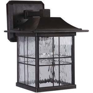 Dorset 1 Light 11 inch Aged Bronze Brushed Outdoor Wall Mount, Small