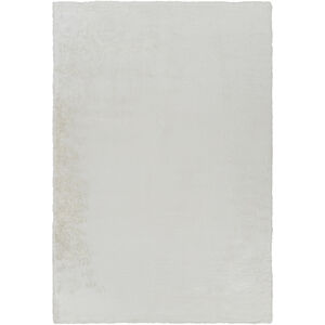 Lapine 90 X 60 inch Rugs, Rectangle