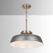 Oakwood 1 Light 18 inch Antique Nickel Pendant Ceiling Light