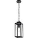 Hilton 1 Light 6 inch Black Outdoor Pendant