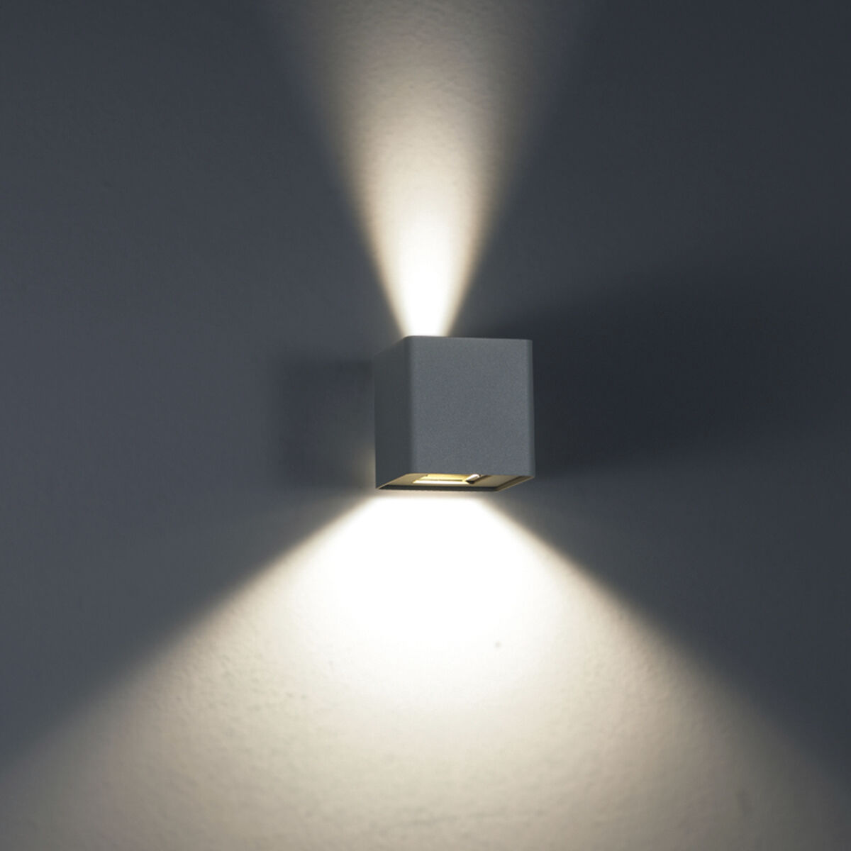 Crest LED 4 inch Graphite Grey Outdoor Wall Mount