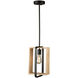 Perris LED 8 inch Black Pendant Ceiling Light
