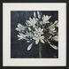 Midnight Lilies Black and Blue and Neutral and White Framed Art