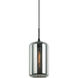 Irresistible Organic Charm 1 Light 7.13 inch Smoke Pendant Ceiling Light