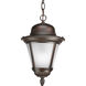 Westport 1 Light 9 inch Antique Bronze Outdoor Hanging Lantern in Bulbs Included, Etched Seeded