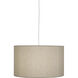Elena 1 Light 15 inch Painted White Pendant Ceiling Light in Bone Dupioni