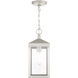 Nyack 1 Light 6 inch Brushed Nickel Outdoor Pendant Lantern