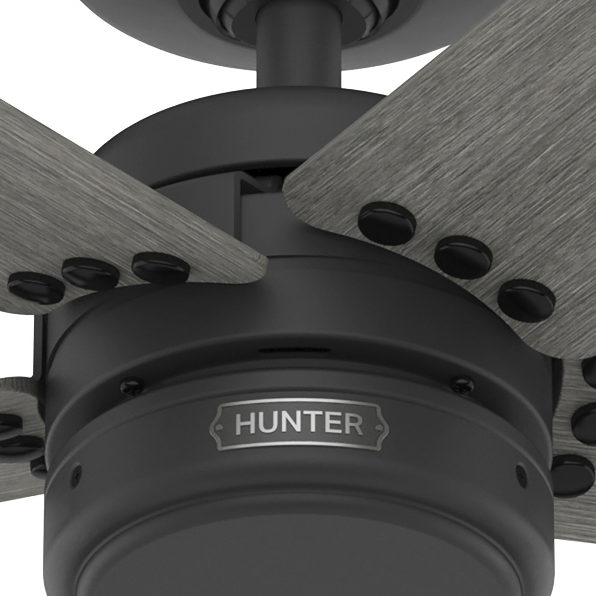 Burton 52 inch Matte Black with Dark Gray Oak Blades Outdoor Ceiling Fan