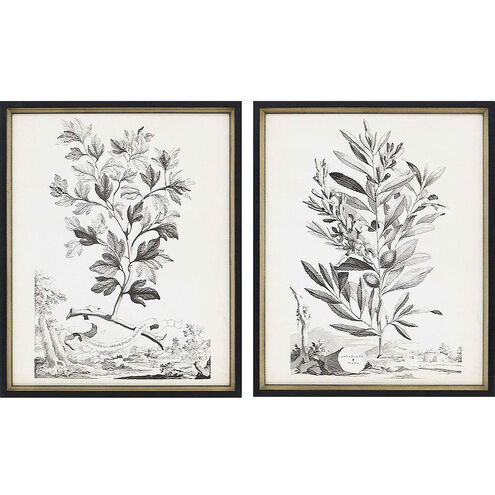 Florals Collection Black Framed Art