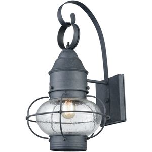 Onion 1 Light 18 inch Aged Zinc Outdoor Wall Sconce