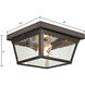 Springfield 2 Light 10 inch Hazelnut Bronze Outdoor Flush Mount