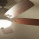 Crescent 56 inch Olde Bronze with Gold Highlights with Walnut Blades Ceiling Fan