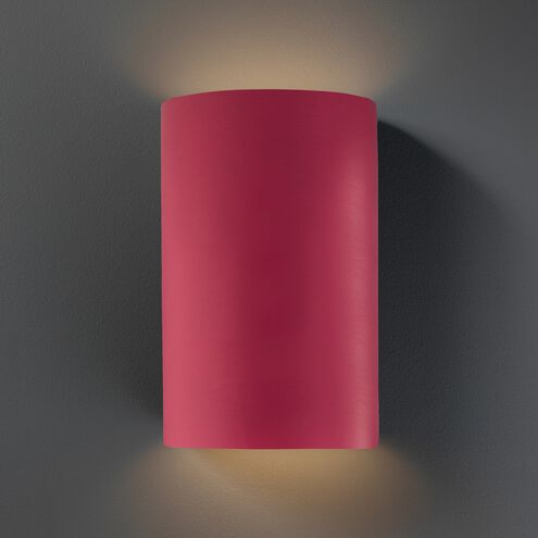 Ambiance Collection LED 12.5 inch Cerise Outdoor Wall Sconce