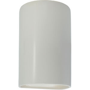 Ambiance Cylinder LED 9.5 inch Matte White Outdoor Wall Sconce, Small