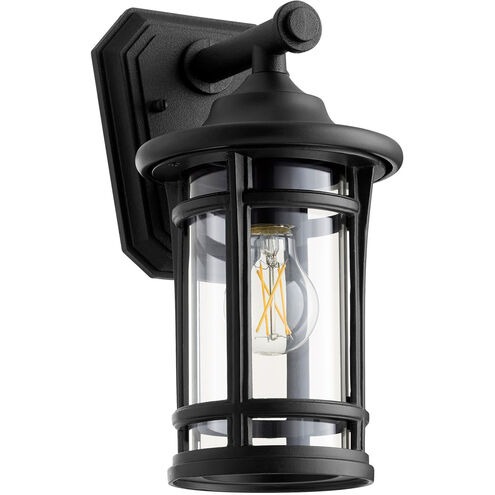 Haley 1 Light 13 inch Noir Outdoor Wall Lantern