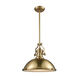 Pittsburgh 1 Light 17 inch Satin Brass Pendant Ceiling Light