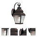 Exeter 1 Light 14.5 inch Bronze Outdoor Wall Lantern