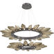 Rock Crystal LED Graphite Chandelier Ceiling Light, Radial Ring Two Tier