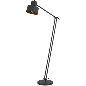 Davidson 65 inch 60.00 watt Matte Black Floor Lamp Portable Light