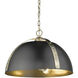 Aldrich Pendant Ceiling Light in Aged Brass, Matte Black