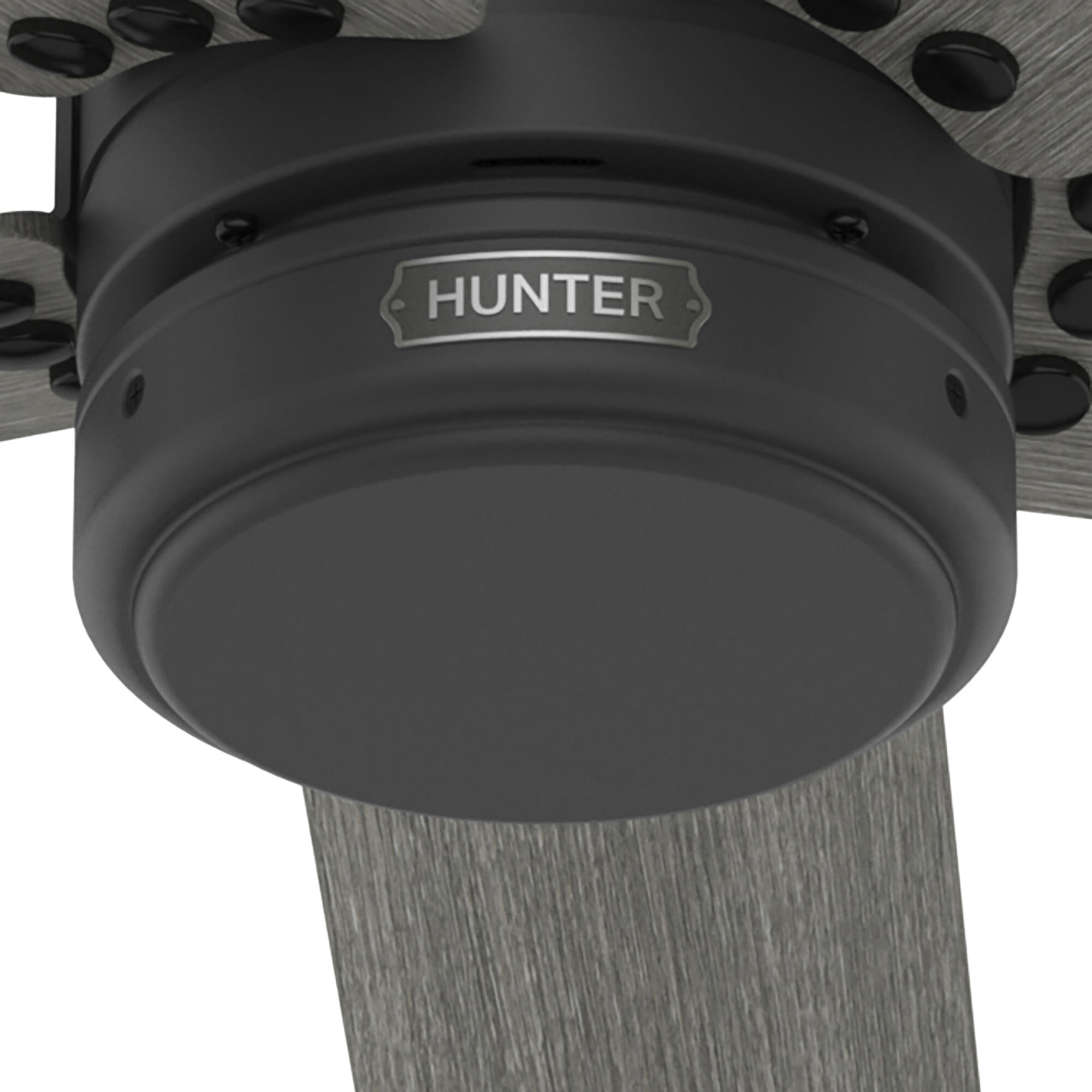Burton 52 inch Matte Black with Dark Gray Oak Blades Outdoor Ceiling Fan