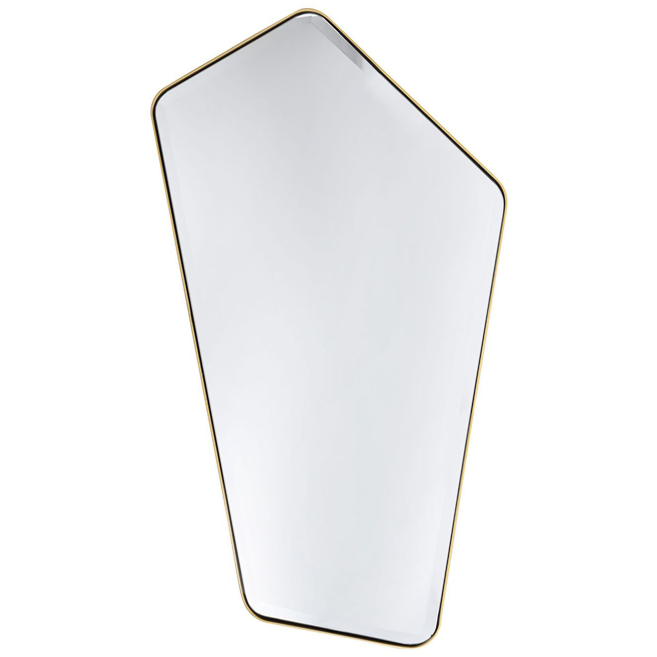 The Fun Trap 40 X 22 inch Gold Wall Mirror