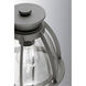 Johnson Bay Outdoor Wall Lantern