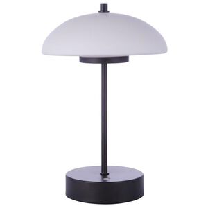 Rechargable Portable 11 inch 5 watt Flat Black Table Lamp Portable Light