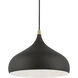 Amador 1 Light 12 inch Textured Black with Antique Brass Accents Pendant Ceiling Light