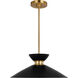 ED Ellen DeGeneres Heath 1 Light 18.5 inch Midnight Black and Burnished Brass Pendant Ceiling Light in Midnight Black / Burnished Brass