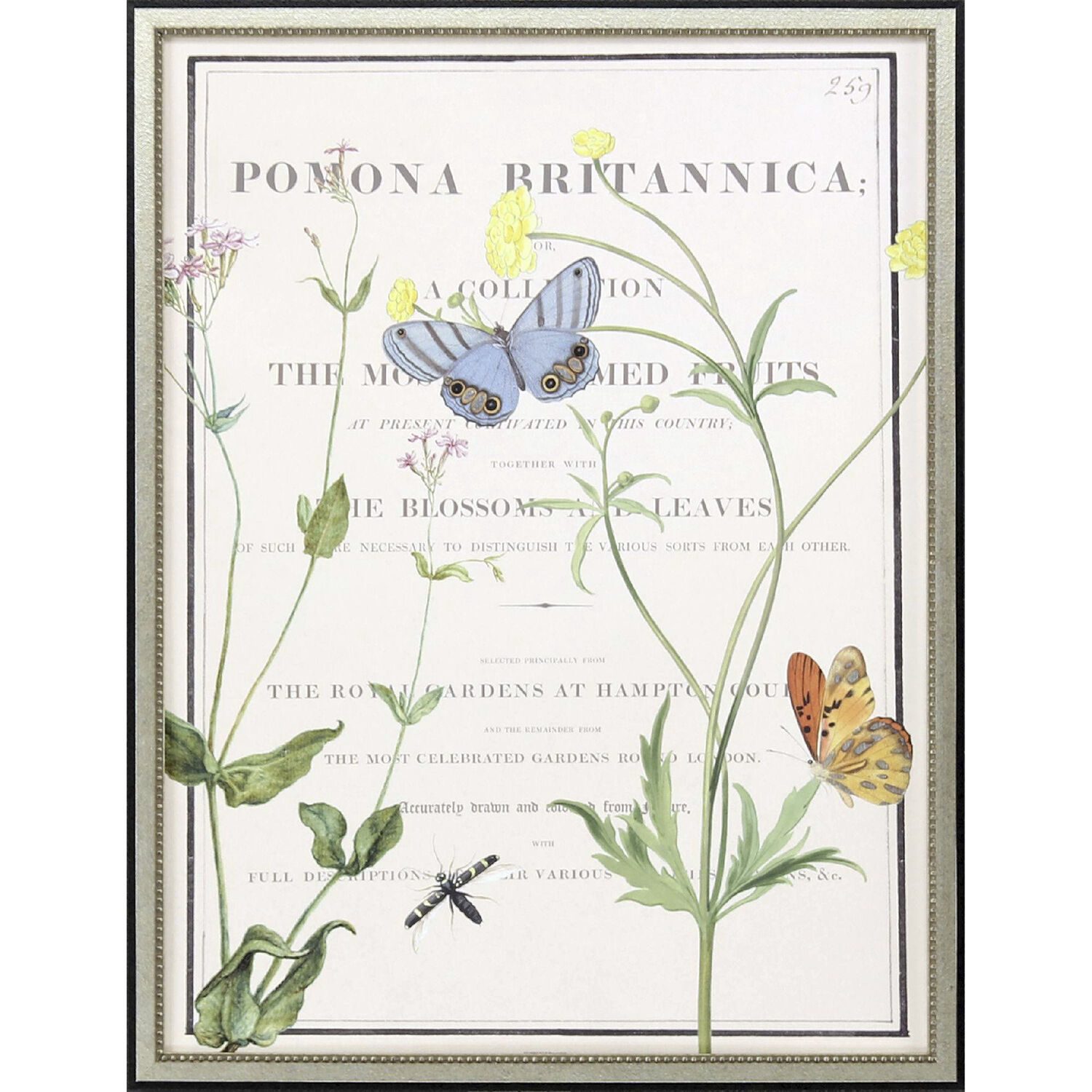 Ephemeral Green and Blue and Multi and Orange Framed Art