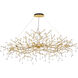 Canada 14 Light 24 inch Solid Brass Chandelier Ceiling Light