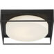 Rover LED 15 inch Black Flush Mount Ceiling Light