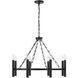 Winton 8 Light 28 inch Matte Black Chandelier Ceiling Light
