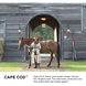 Cape Cod Outdoor Wall Mount Lantern in Aged Zinc, Medium
