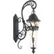 Anastasia Outdoor Wall Sconce Wall Light in Textured Matte Black