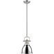 Duncan 1 Light 8.88 inch Pewter Pendant Ceiling Light in Chrome, Small