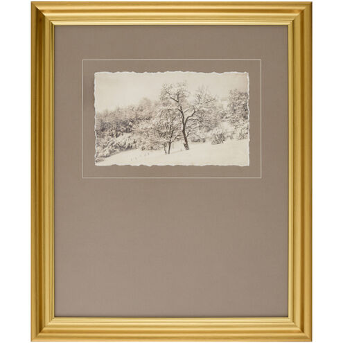Coconino Burnished Brass and Hand Finished Framed Art