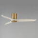 Woodwind 52 inch Natural Aged Brass Indoor Ceiling Fan in White